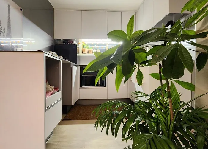 別墅 Maison De Pepperoni 首爾